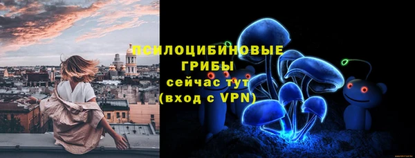 spice Беломорск