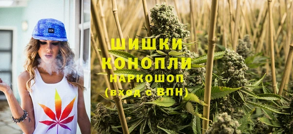 spice Беломорск