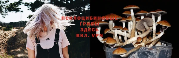 мяу мяу мука Белокуриха
